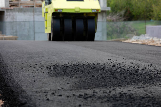 Best Decorative Driveway Pavers  in Seis Lagos, TX