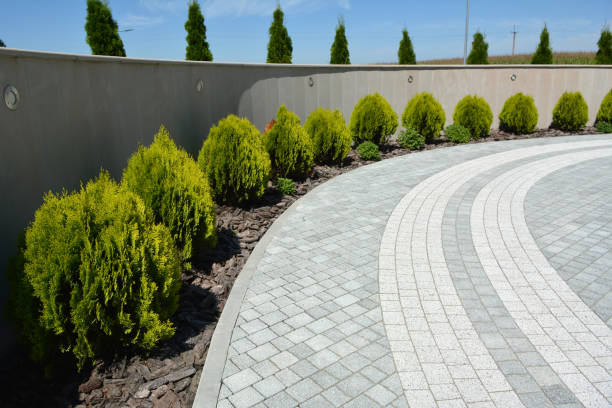 Best Concrete Paver Driveway  in Seis Lagos, TX
