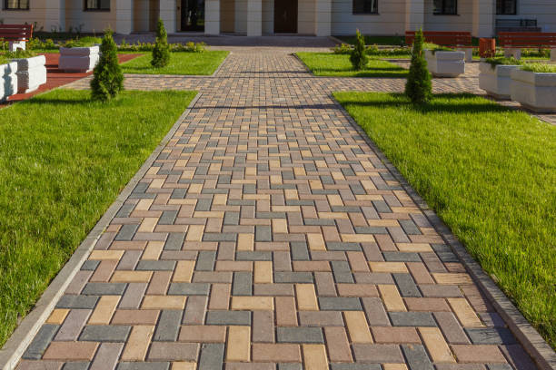 Best Driveway Repair Near Me  in Seis Lagos, TX